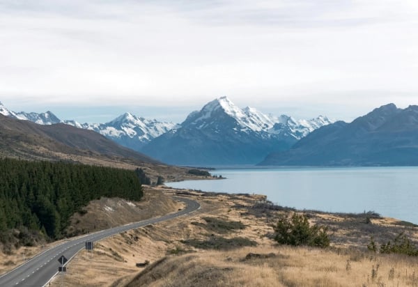 Studying in New Zealand: Top universities, admission process, costs, and international student guide